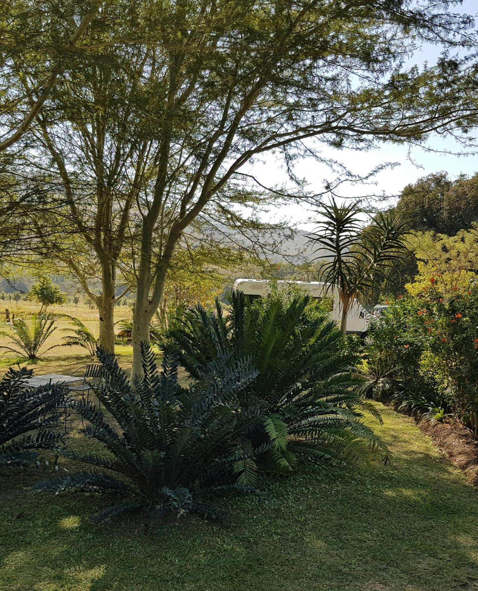 האזיביו Kiaat Bungalows מראה חיצוני תמונה